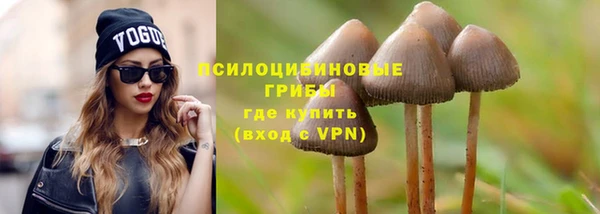 эйфоретик Горнозаводск